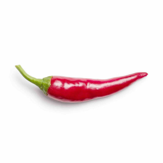 Red chilli pepper 